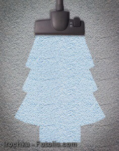 Brush vacuum cleaner