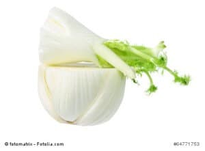 Fennel on White Background