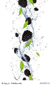 Fotolia_43956723300_XS_copyright
