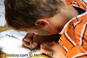 bild3300