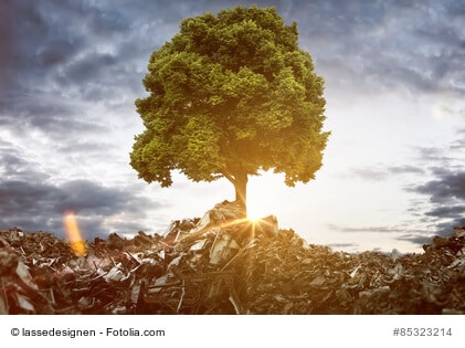 Tree grows between Mountains of Trash