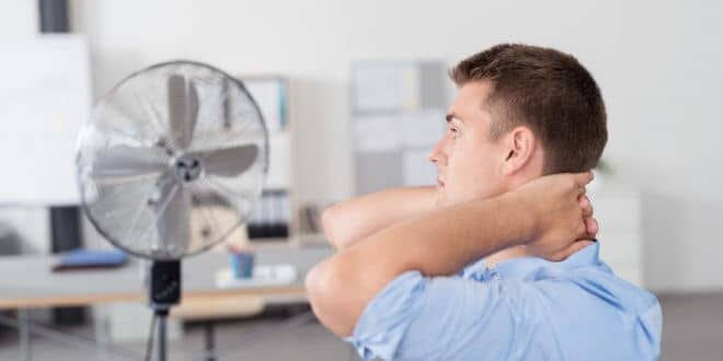 Auch an heißen Tagen einen kühlen Kopf bewahren: Sommerventilatoren