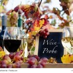 Genuss in der Pfalz: Weinprobe im Herbst, Rotwein, Weiwein, Trauben :)