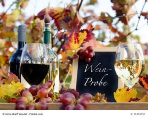 Genuss in der Pfalz: Weinprobe im Herbst, Rotwein, Weiwein, Trauben :)