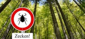 Zecken Schild im Wald