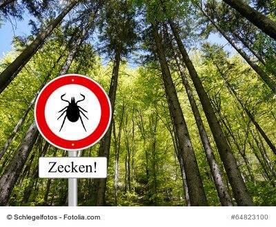 Zecken Schild im Wald