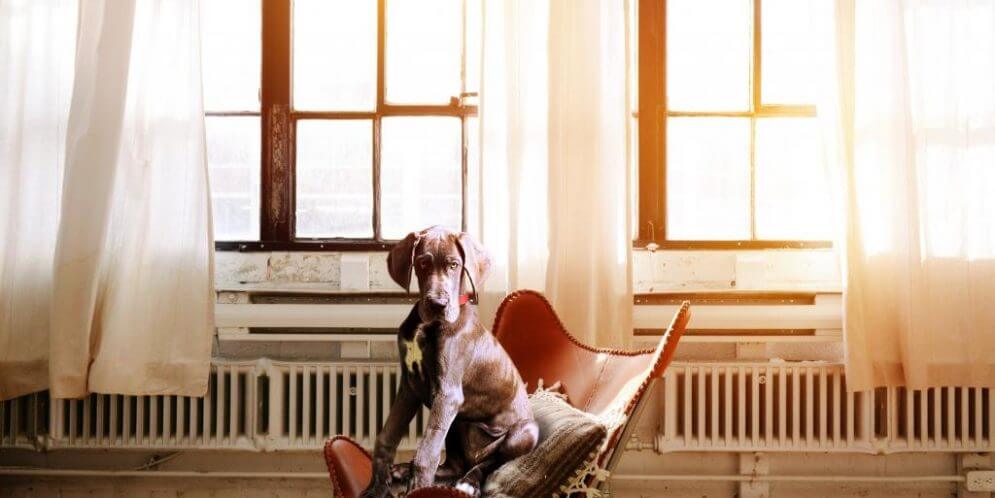 Gardinen richtig waschen & pflegen – so geht’s