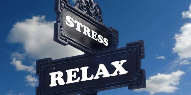 Schluss mit Stress: 5 Tipps für mehr Gelassenheit