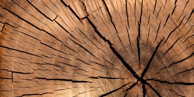Stressfreies Holzspalten – So einfach geht’s!