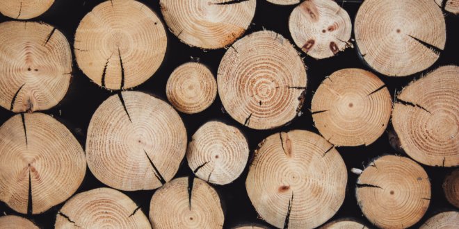 Nachhaltigkeit im Bereich der Möbel – auf Massivholz setzen