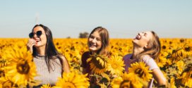 Fröhliche Frauen im Sonnenblumenfeld