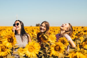 Fröhliche Frauen im Sonnenblumenfeld