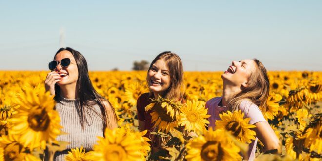 Fröhliche Frauen im Sonnenblumenfeld