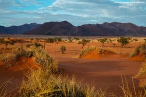 Namibia, Wüste